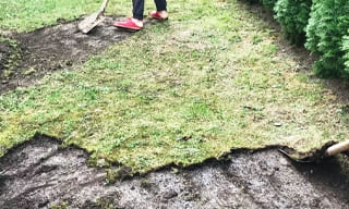 Снятие дерна старого газона в Твери – от 525 руб. | 2Землекопа-Твр